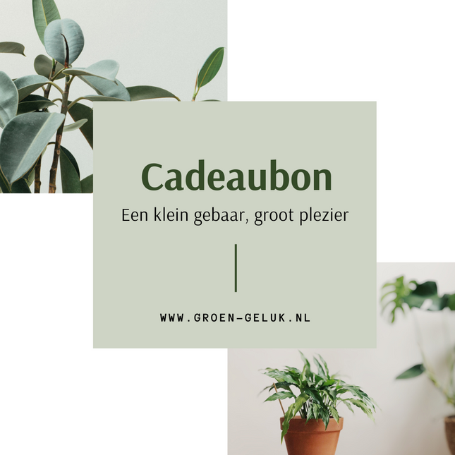 Groen-Geluk cadeaubon