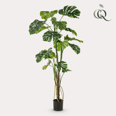 Collection image for: Kunstplanten