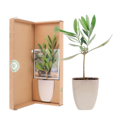 Collection image for: Giftsets