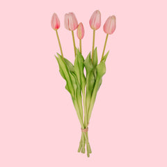 Collection image for: Kunst tulpen